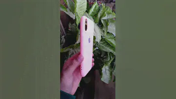 Pink Silicone Case for Apple iphone x xs